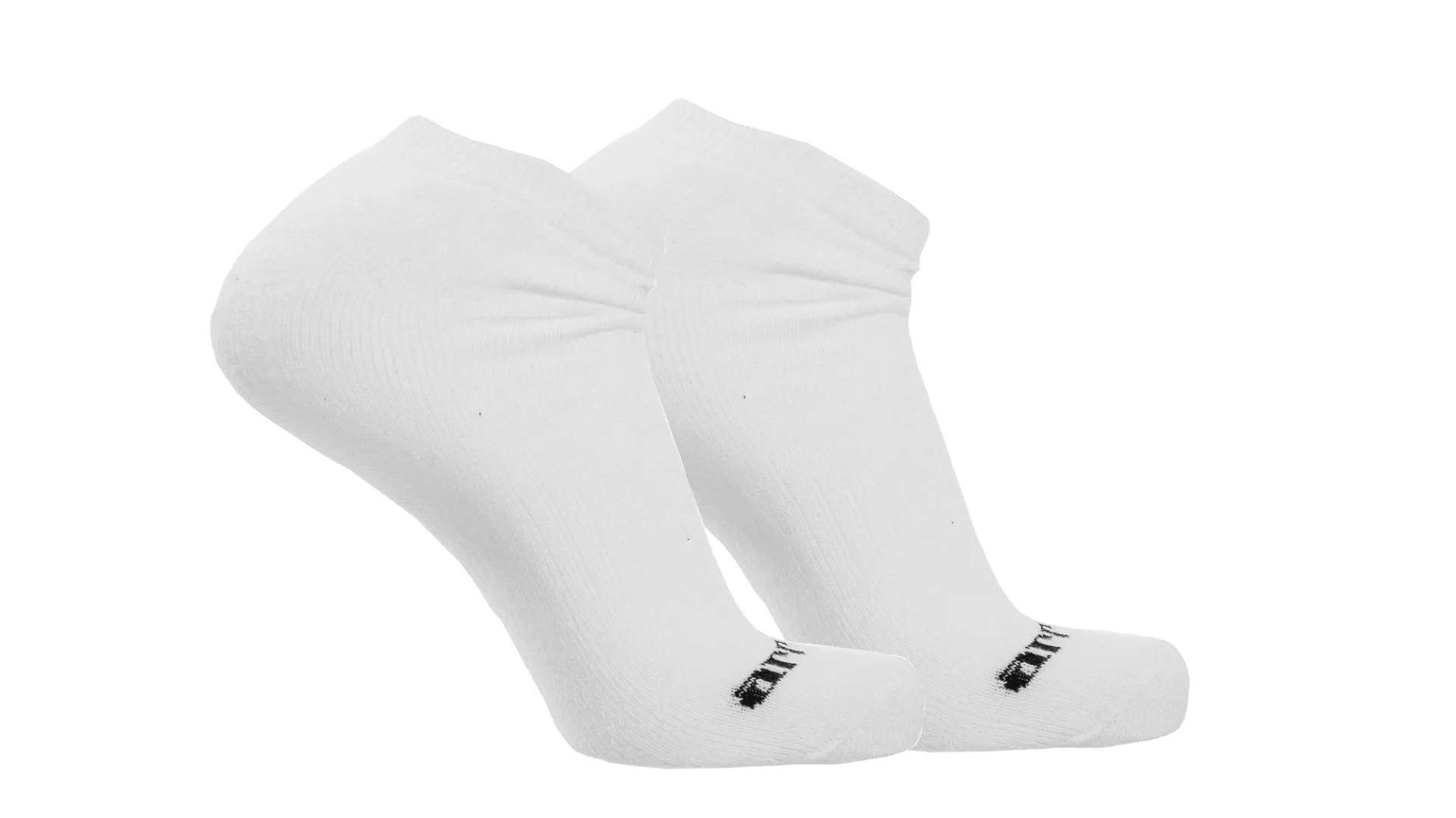 Low-Cut Ankle Sock (White)